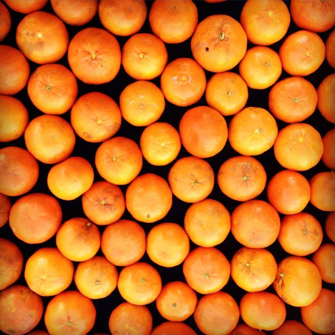 tangerine fruit season