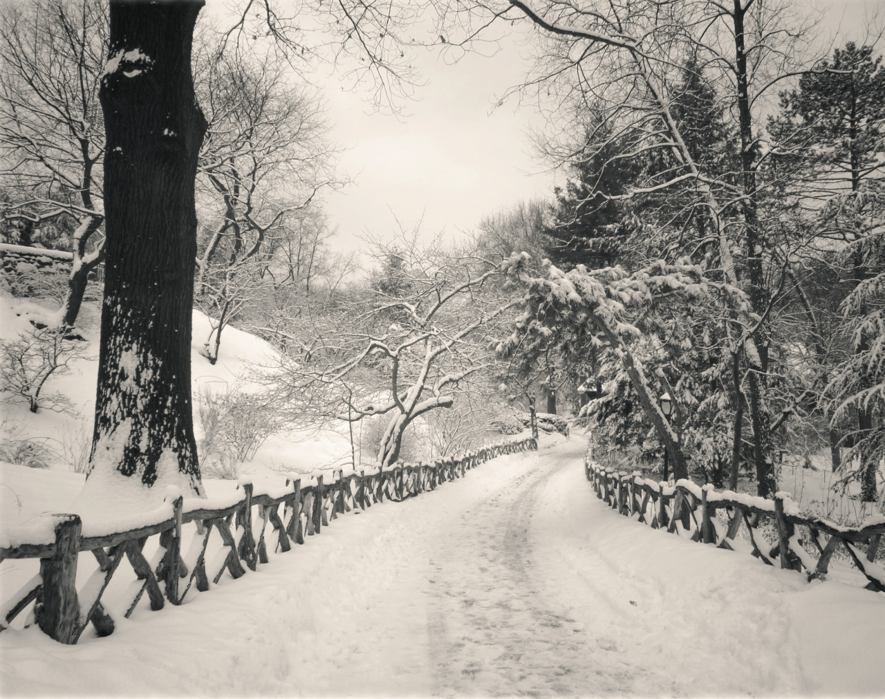 central park winter path shakespeare garden in the snow i think back to days - Shakespeare Garden Central Park central park winter path shakespeare garden in the snow i think back to days - Shakespeare Garden Central Park