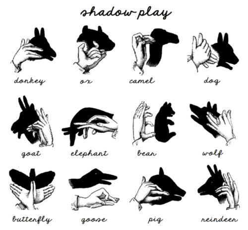 hitrecordjoe:Useful how-to guide for shadow puppets..