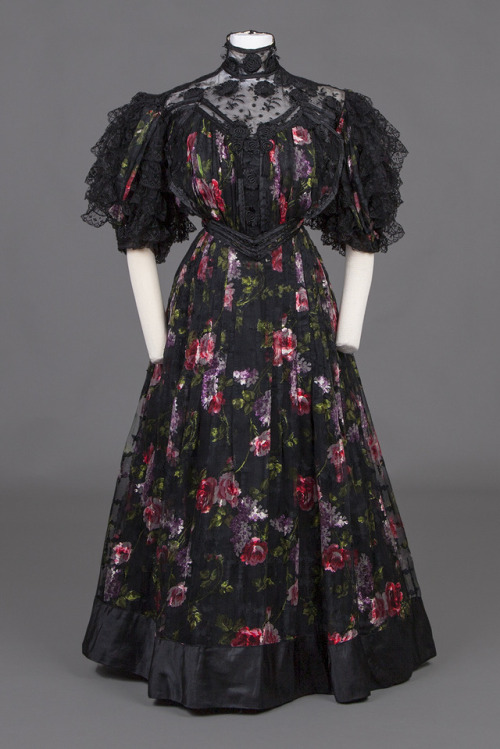 fashionsfromhistory:Dress1895Goldstein Museum of Design