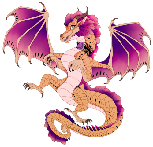 nightwing sandwing rainwing wings of fire art