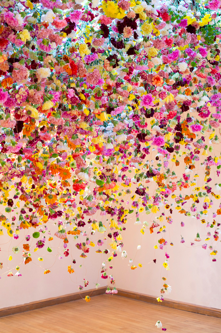 Always bring flowers, Rebecca Louise Law