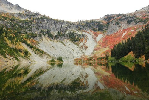 burningmine:Heather-Maple Pass, October 2018