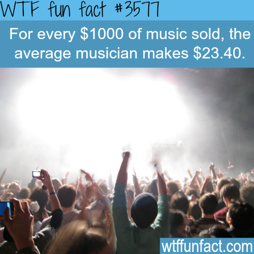 How Much Money Do Musicians Make - WTF Fun Facts