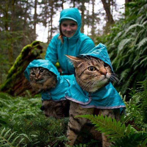 cuteness–overload:Dressed for the weatherSource:...