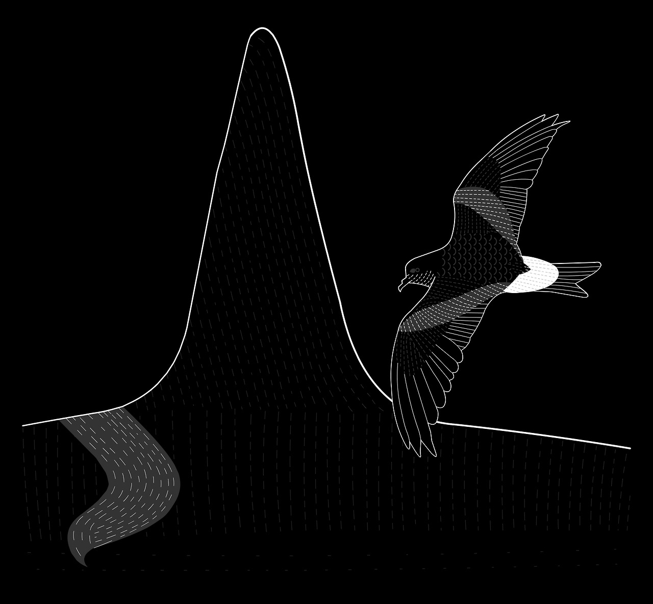 Petrel and killer whale María León — EatSleepDraw is working on something new and we want you to be the first to know about it. Make sure you’re on our email list.