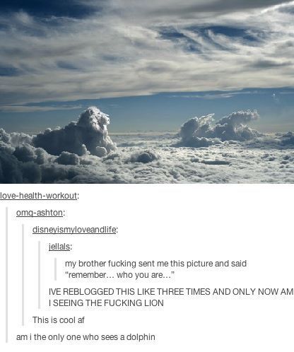 itsstuckyinmyhead:The Lion King and Tumblr