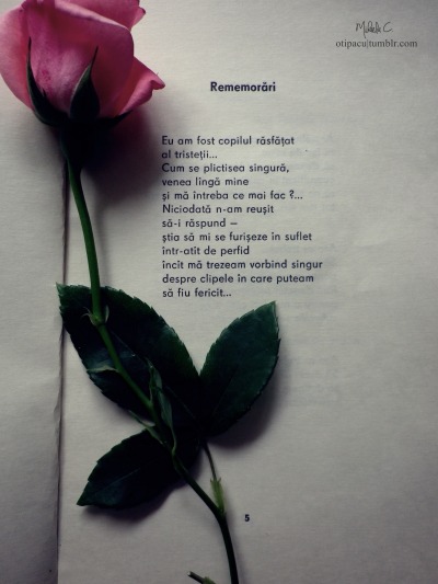Trandafir Tumblr