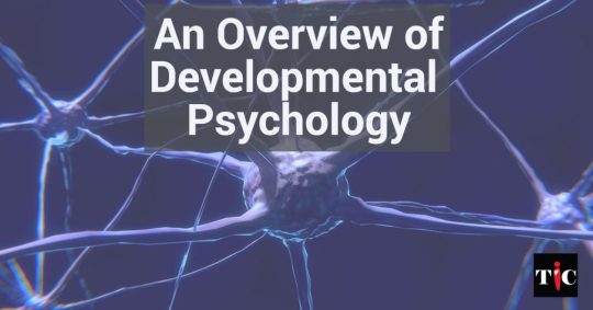 An Overview of Developmental Psychology