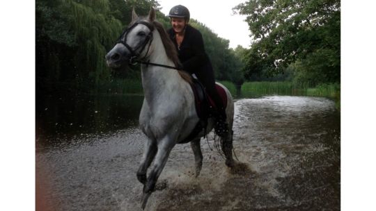 CAV Rassen die Leser reiten Leserfotos Katrin Drogatz-Krämer