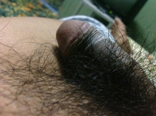 Hairy hairy