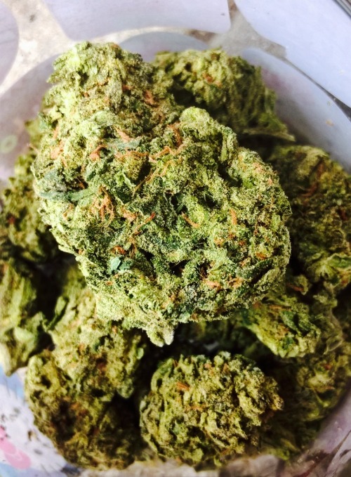 shelovesplants:Gods Gift in my Jar and loving this Strain...