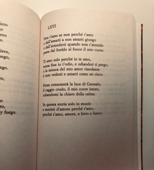 Ti Amo Poesia Di Pablo Neruda Poesie Image