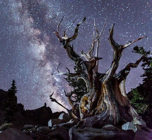 National Park Foundation - Night sky above Great Basin ...