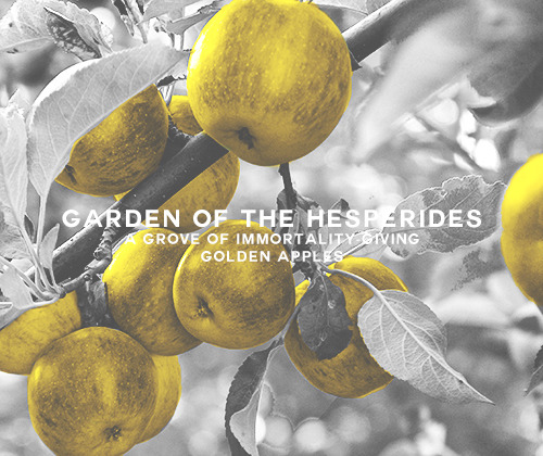 garden of hesperides golden apples