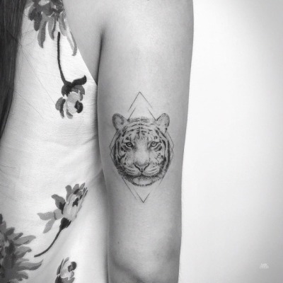 Tiger Tattoo Tumblr