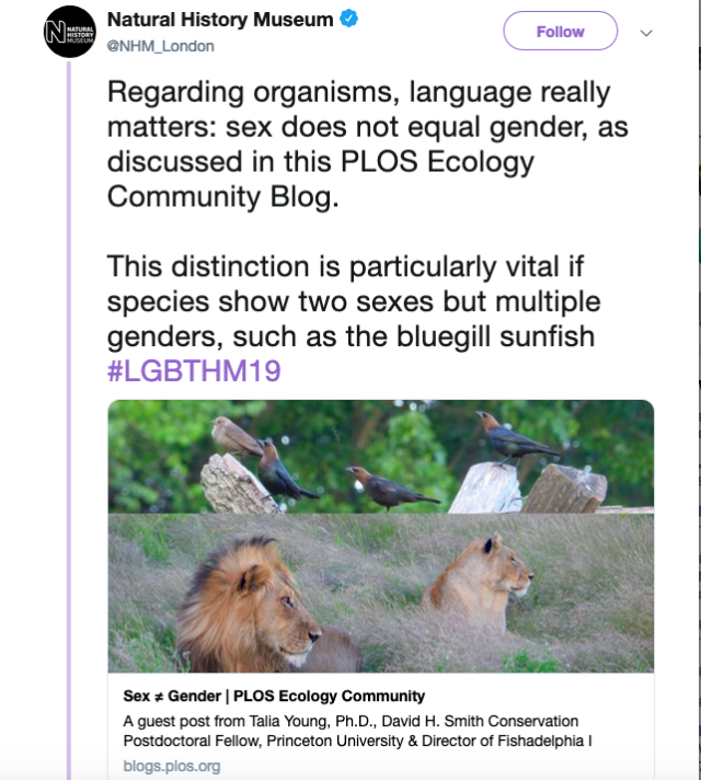 640px x 712px - Anti-Porn Feminists â€” The Natural History Museum is calling animals...