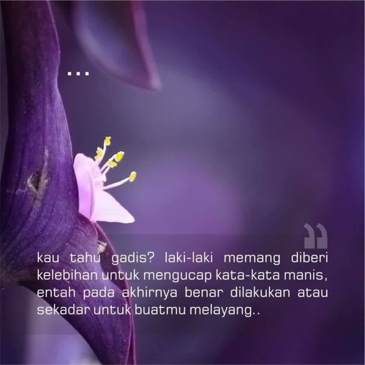 Jika Kau Cinta Ikuti Dia Dear Ladies Kata Kata Indah Dan