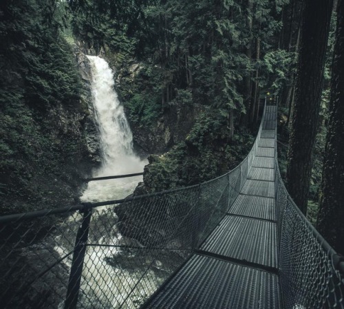 #ForestFridayWaterfall crossings 