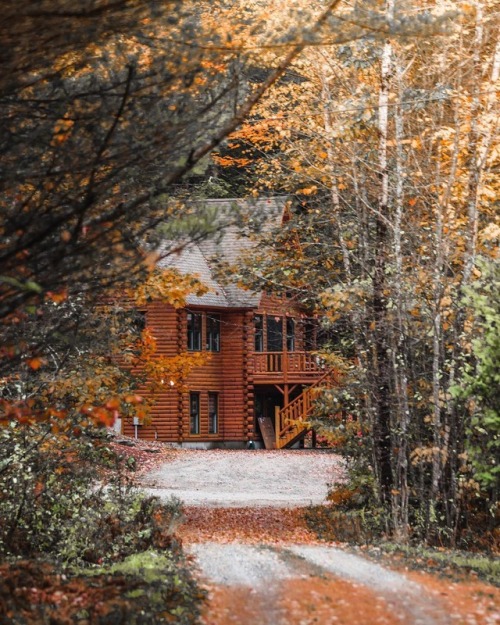 autumncozy:By mitchellmessana