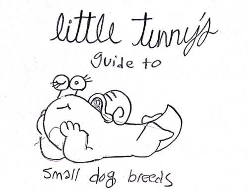 little-tunny:Guide to small dog from my Instagram!guide to big...