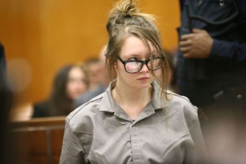wiki anna delvey