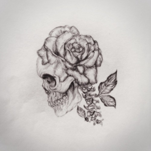 skull art on Tumblr