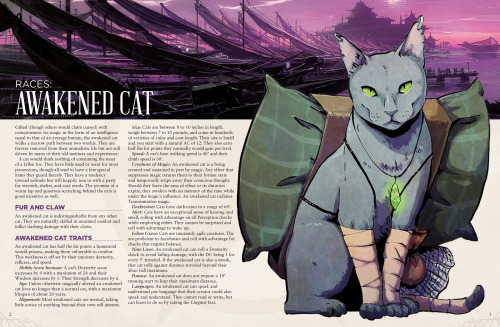 dnd-one-shots:Homebrew Race “Awakened Cat” By u/vartian at...