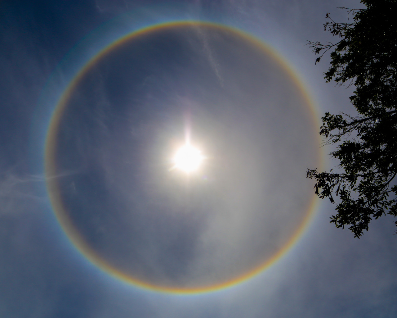 Rainbow Around The SunIve seen this a few times and its always so cool Usually you can only see rainbows when the sun is behind youI need to read about how these are formedMarin California - 52015