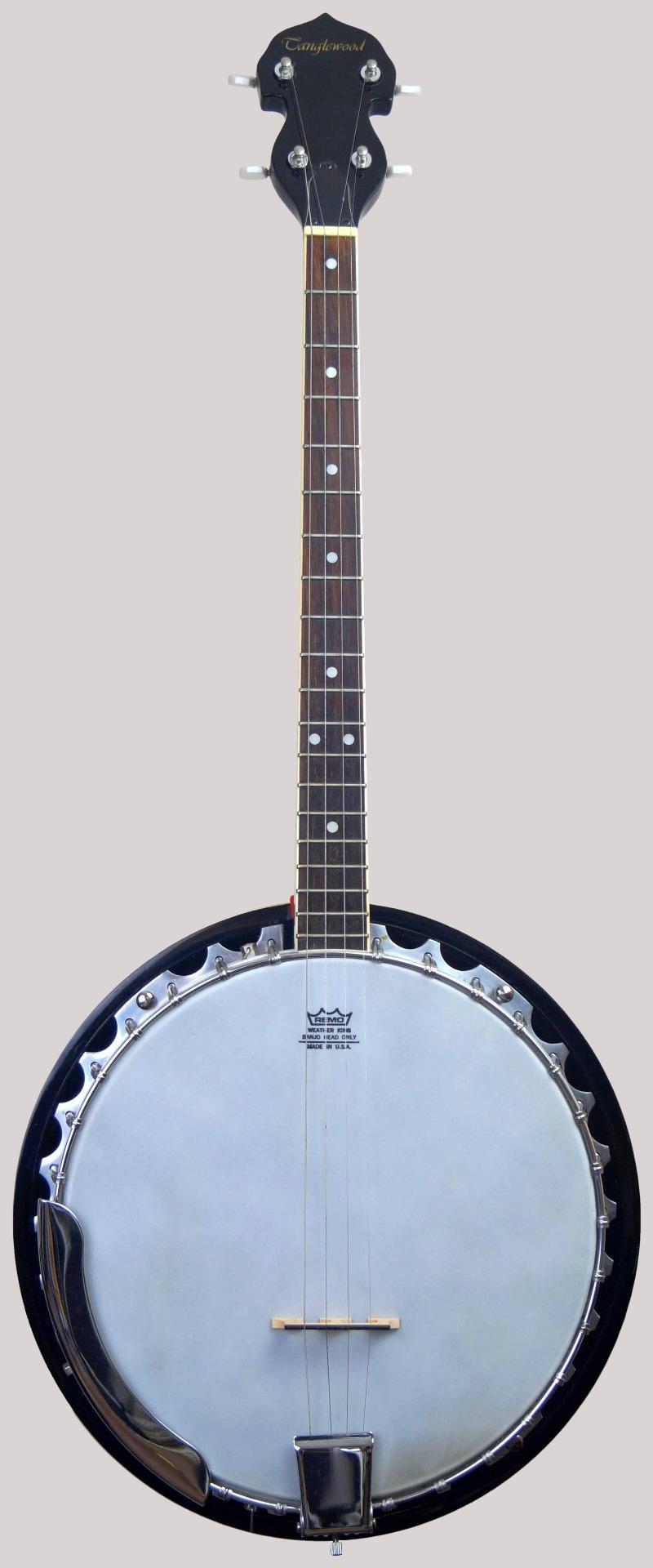 Tanglewood Tenor Banjo