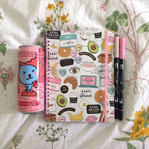 ig-chel:stationery haul 