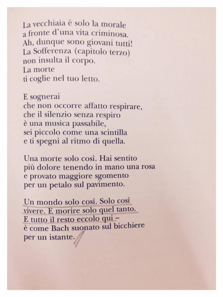 Ringraziamento Poesia Di W Szymborska Poesie Image