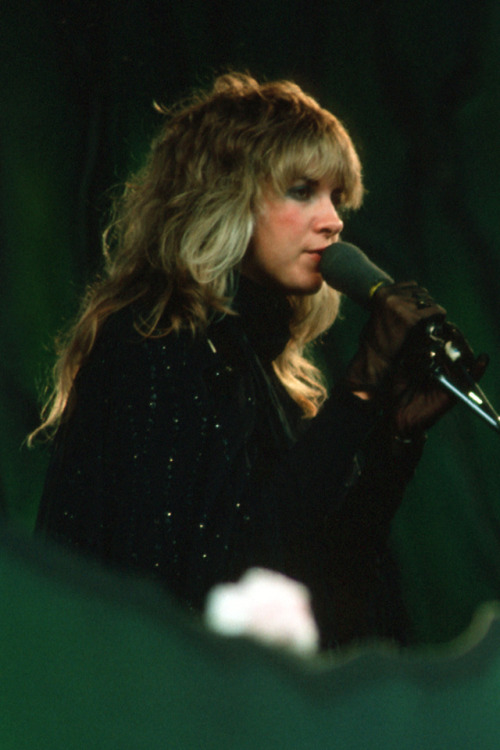 crystallineknowledge:Stevie Nicks at the ‘Day On The Green...