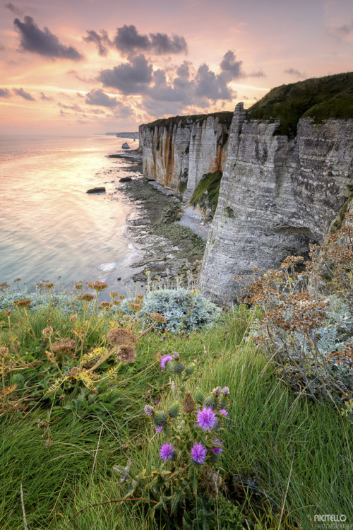 allthingseurope:Etretat, France (by nicitelo)