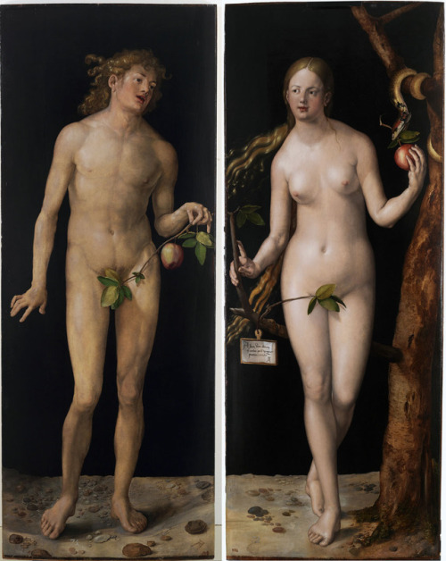 artiebagagli:Albrecht Dürer - Adam and Eve (1507)