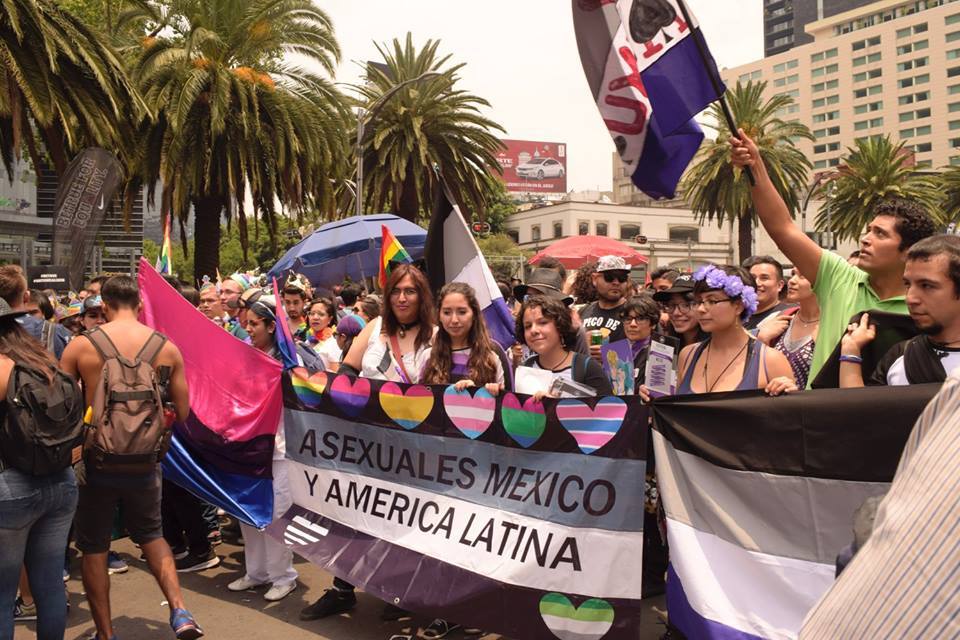 Resultado de imagen para asexualidad Mexico