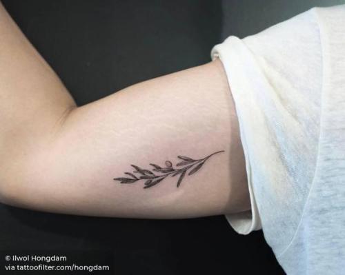 By Ilwol Hongdam, done at West 4 Tattoo, Manhattan.... branch;small;single needle;inner arm;hongdam;facebook;nature;twitter;olive branch