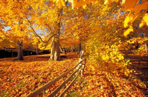 bookofoctober:Prince Edward Island. Photo via Canadian Living