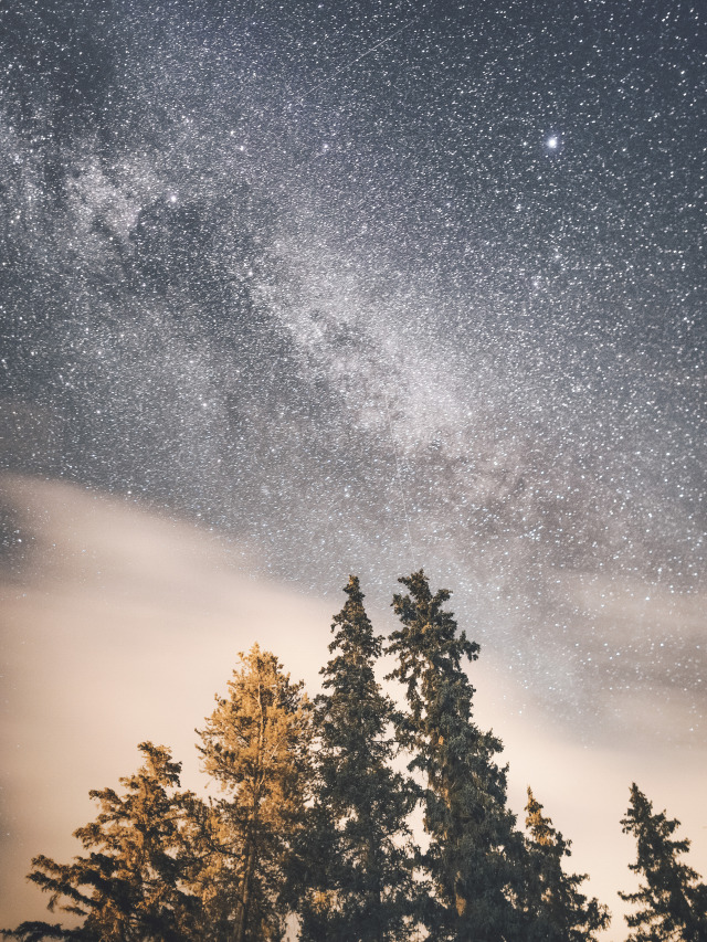 torrance-barrens-dark-sky-preserve-is-gravenhurst-s-epic-star-watching