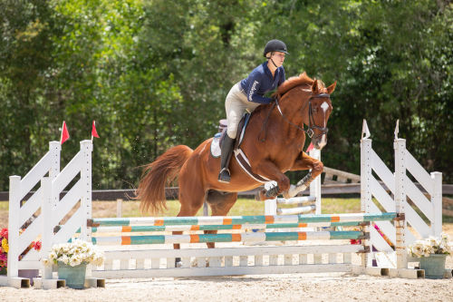 griffinequestrian