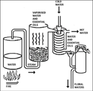 Biomed People of SGU Nebulizer Theraphy for 