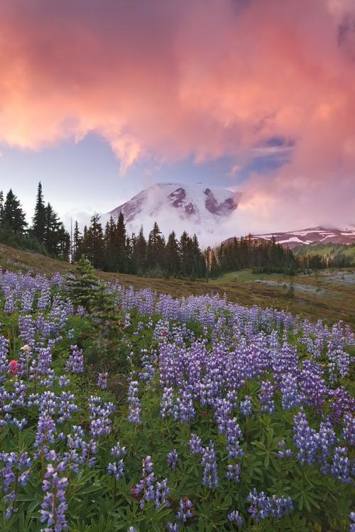 drxgonfly:Peek a Boo Rainier… (by Jeremy Cram)