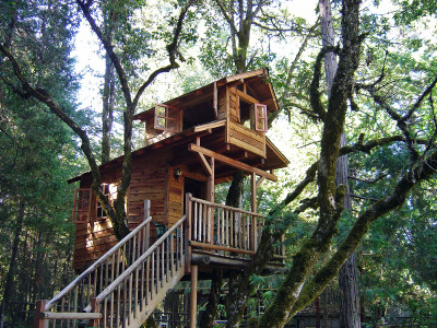 Tiny Tree House