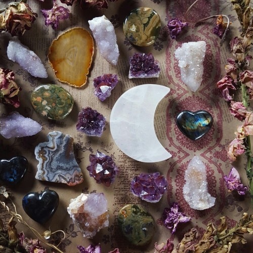 underthebogart:Green + Purple + Succulent + Crystal + Witchy...