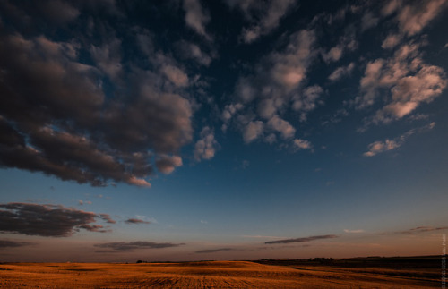 thisherelight:mid may in alberta