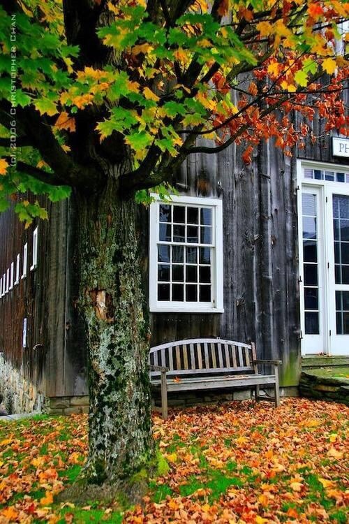 oldfarmhouse:The Cape...