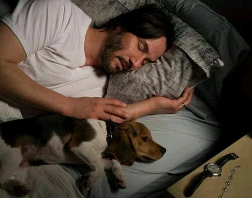 John wick and his dog  Tumblr