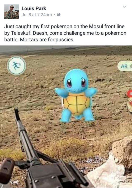 squirtle on Tumblr