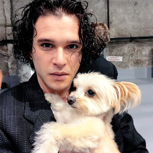 dailykitharington:Kit Harington + dogs ❤♡❤