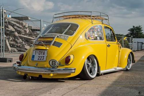 dubcars:Canary beetle